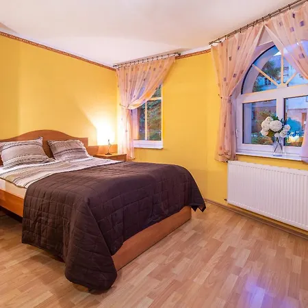 Alexander Panzió Lądek-Zdrój